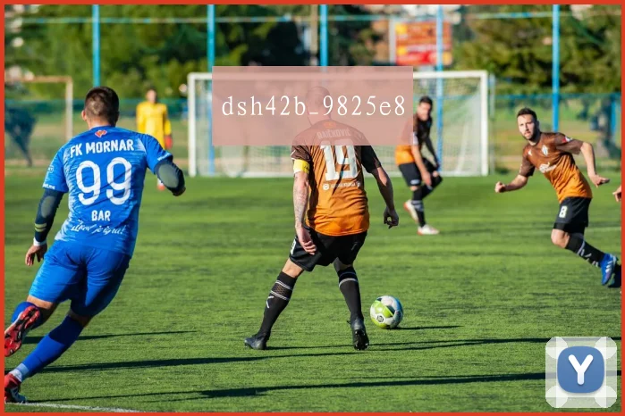 dsh42b_9825e8
