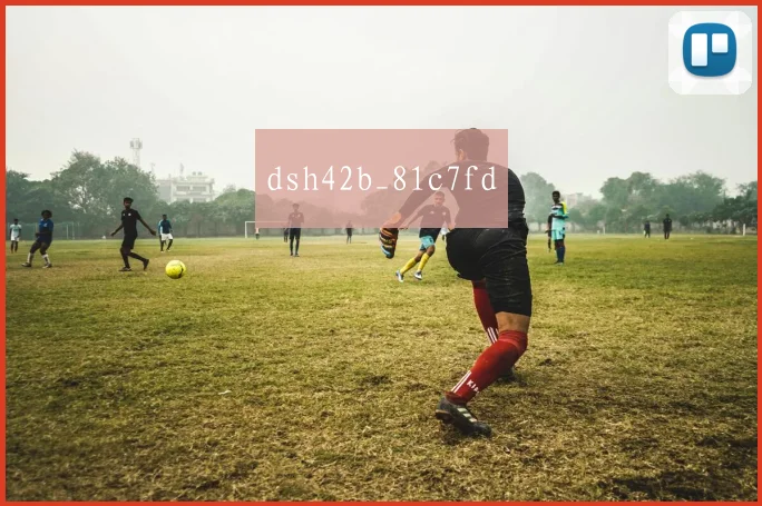 dsh42b_81c7fd