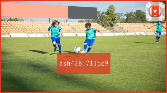 dsh42b_711cc9
