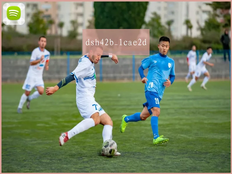 dsh42b_1cae2d