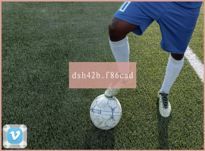 dsh42b_f86cad