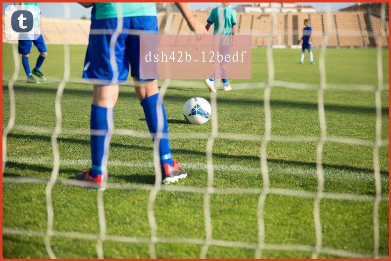 dsh42b_12bedf