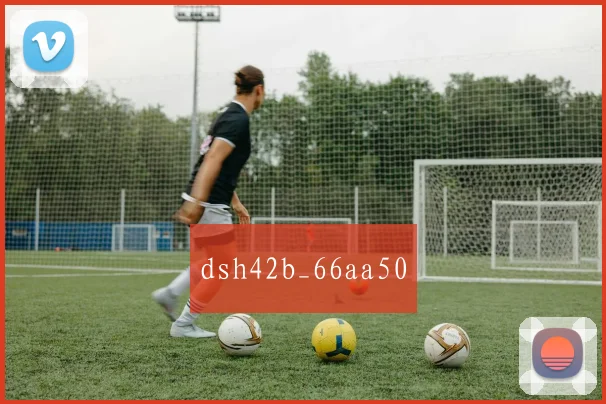 dsh42b_66aa50