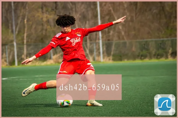 dsh42b_659a05