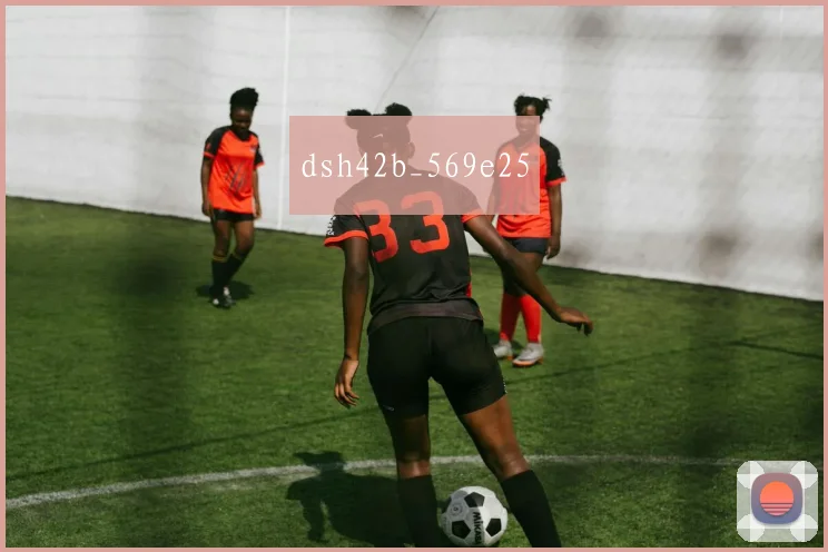 dsh42b_569e25