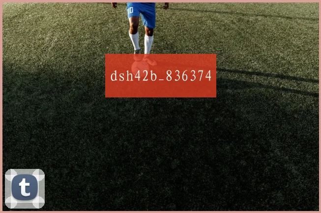 dsh42b_836374
