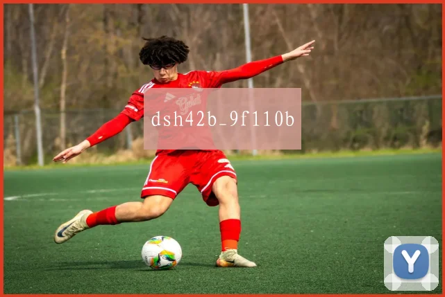 dsh42b_9f110b