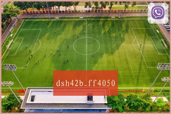 dsh42b_ff4050