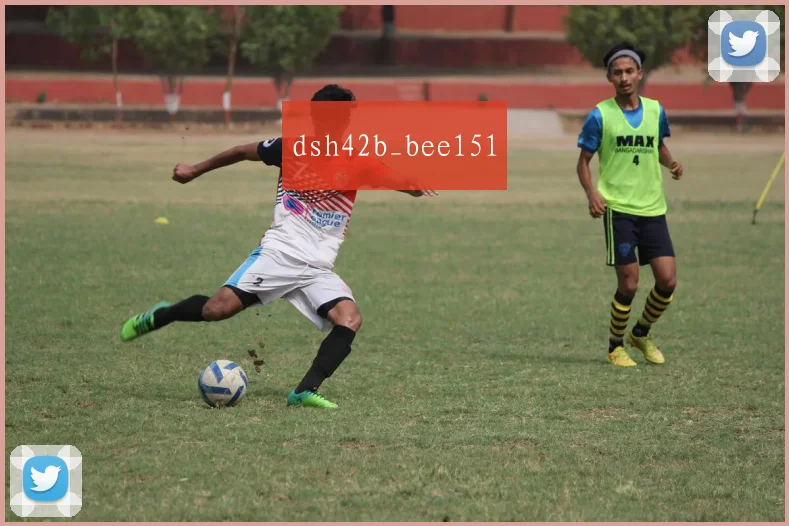 dsh42b_bee151