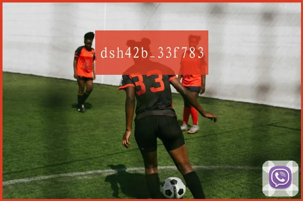 dsh42b_33f783