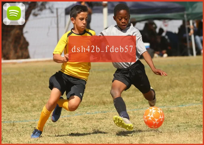 dsh42b_fdeb57