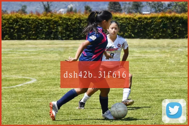 dsh42b_31f616