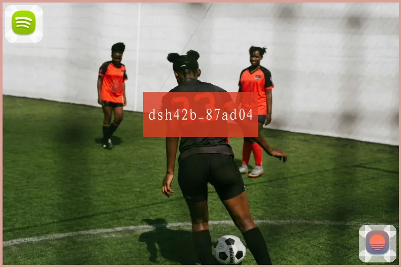 dsh42b_87ad04