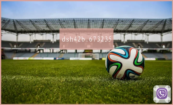 dsh42b_673235