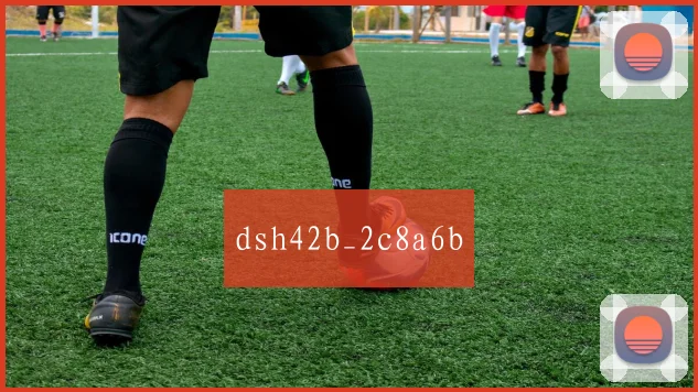 dsh42b_2c8a6b