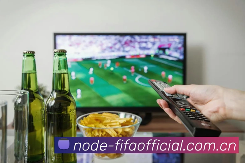 FIFA官方认证